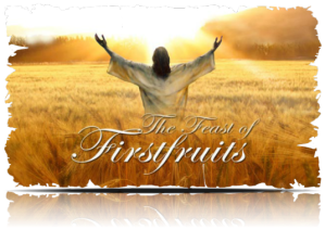 Jesus is the First Fruit of our Salvation