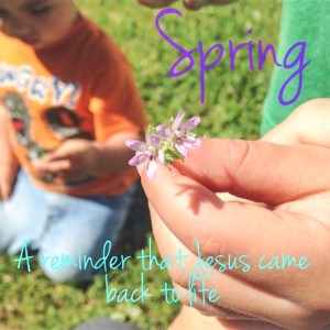 Spring reminds us that Jesus is alive